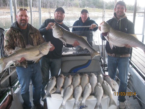 Nice Striped Bass